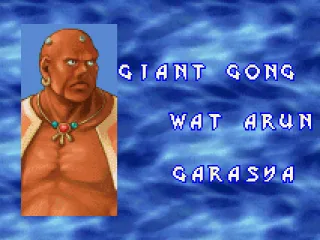 
											Garasya