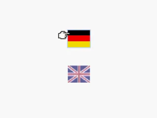 
											Language selection