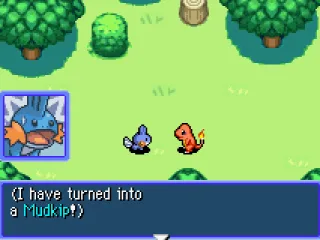 
											He's been turned into a Mudkip!