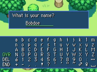 
											Name Entry