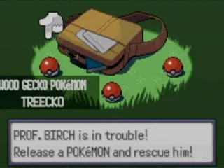 
											Choosing Your First Pokémon