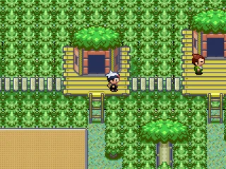
											Tree houses?