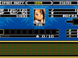 
											Inventory Screen