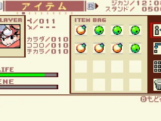 
											Item bag