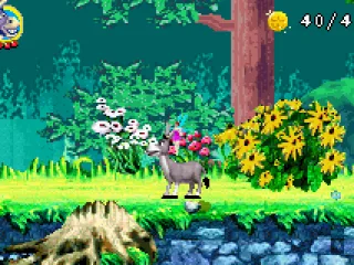 
											Donkey on the move