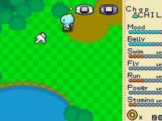 
											Chao in Action