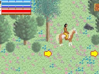 
											Riding the horse