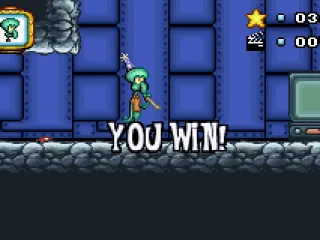 
											Finished the level