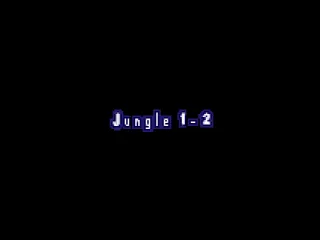 
											Jungle 1-2