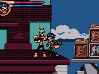 
											Robin fighing