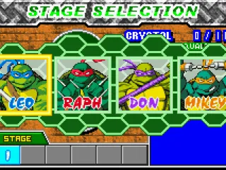 
											Choose your turtle.