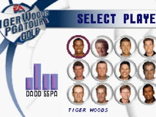 
											Choosing a player for the PGA tour