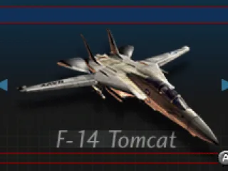 
											F-14 Tomcat