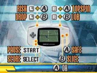 
											Controls