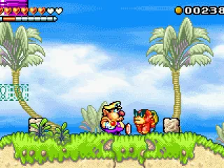 
											Fat Wario