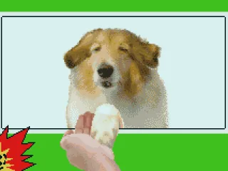 
											Damn dog!
