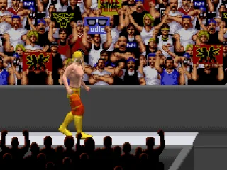 
											Here comes Hulk Hogan