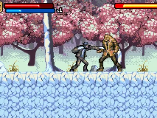 
											Boss fight against Sabertooth
