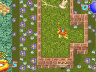 
											First level