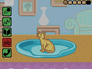 
											The Play Room where you can see the animals you have and check their condition