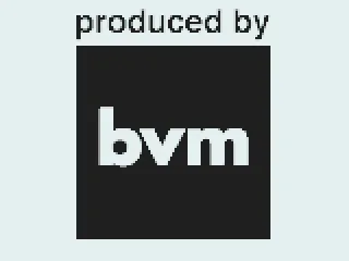 
											Developer logo
