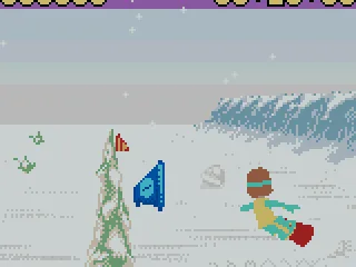 
											Getting the flags while trying to perform tricks