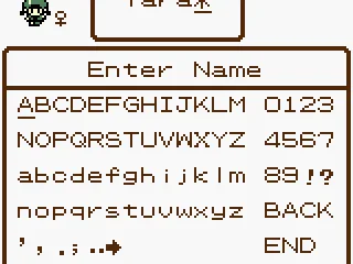 
											Naming Screen