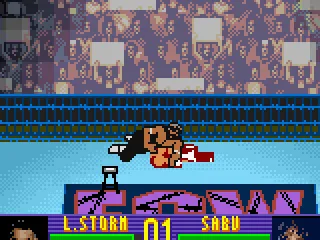 
											Sabu pins Storm.
