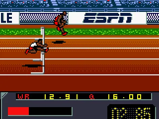
											110m Hurdles