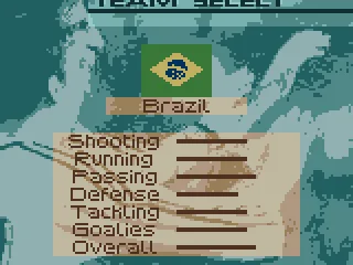 
											Team Selection