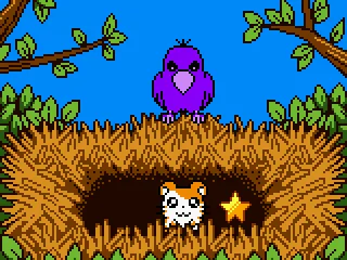 
											Bird Nest