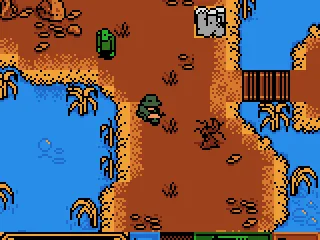 
											Swamps