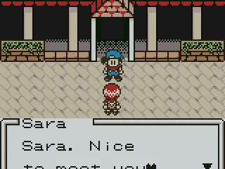 
											Meeting Sara