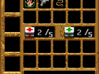 
											Pause the game and the item select screen appears. Choose the yours!