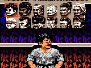 
											Select Fighter