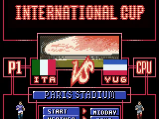 
											International cup