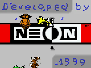 
											Developer Screen