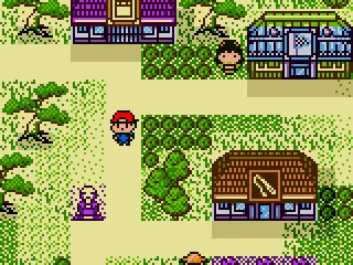 
											The village