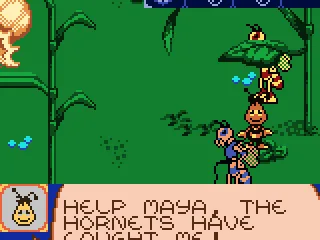 
											The hornets have captured Willi!