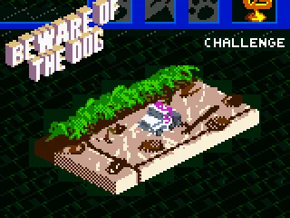 
											Beware of the dog.