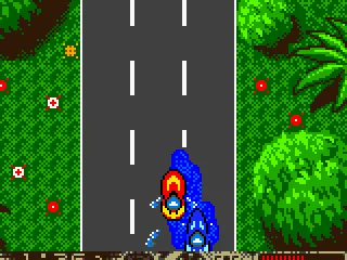 
											By driving over the water pond, you'll slow down.