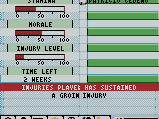 
											Injury Info