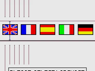 
											Language selection