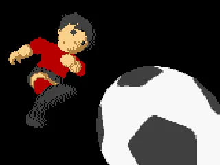 
											Intro animation