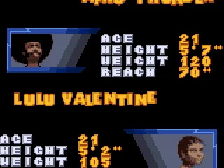 
											A fight card