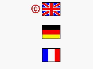 
											Language selection
