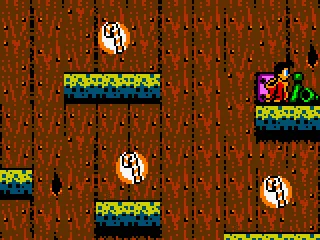 
											Bonus stage