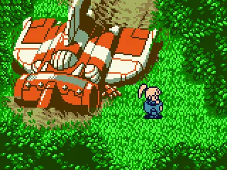 
											At the crash site