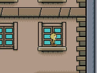 
											On a window ledge.