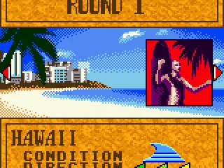 
											Hawaii